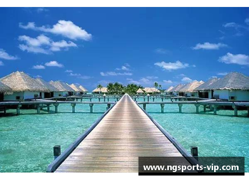 马尔：科学与文化的交汇