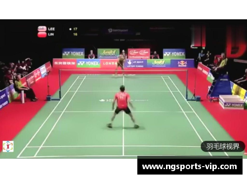 羽毛球世界排名：探秘顶尖选手的光辉时刻